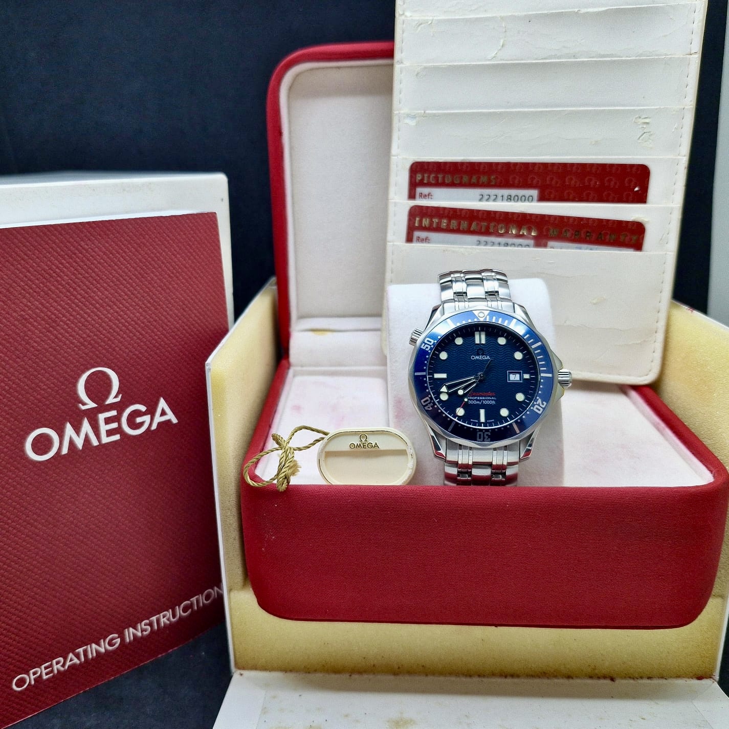 OMEGA SEAMASTER DIVER 300