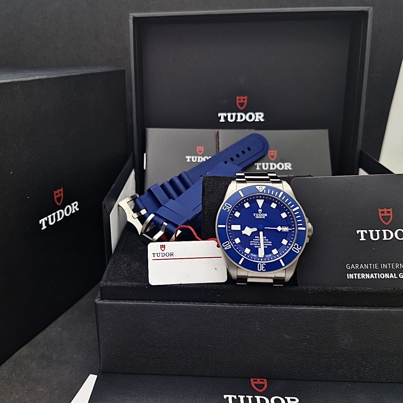TUDOR PELAGOS
